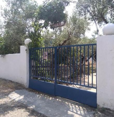 villa elli Metokhion Agios Grigoriou Exteriör bild