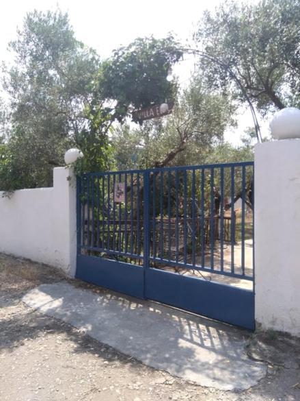 villa elli Metokhion Agios Grigoriou Exteriör bild